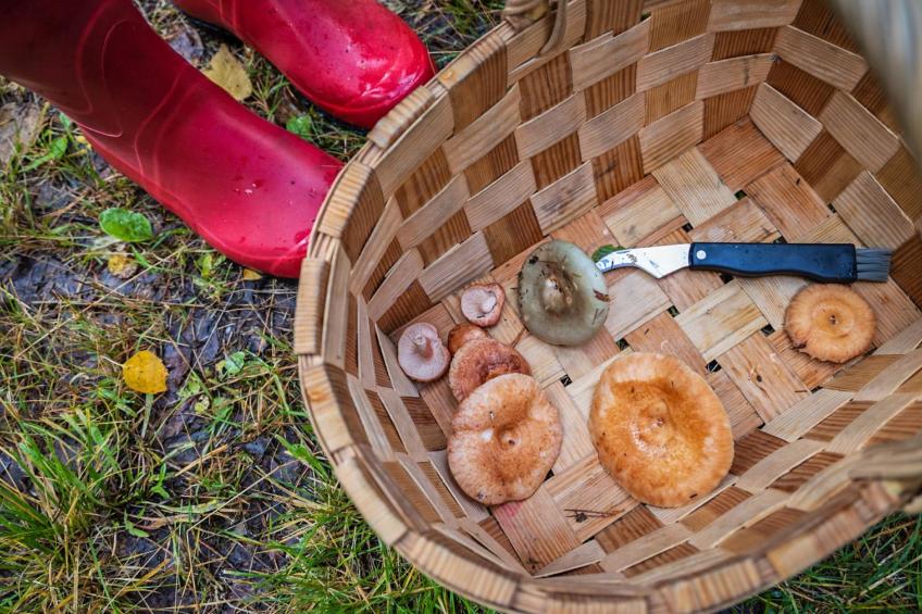 Villa ebba - foto 32