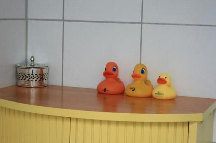 Hundsreitmühle in Bischofswiesen - foto 11