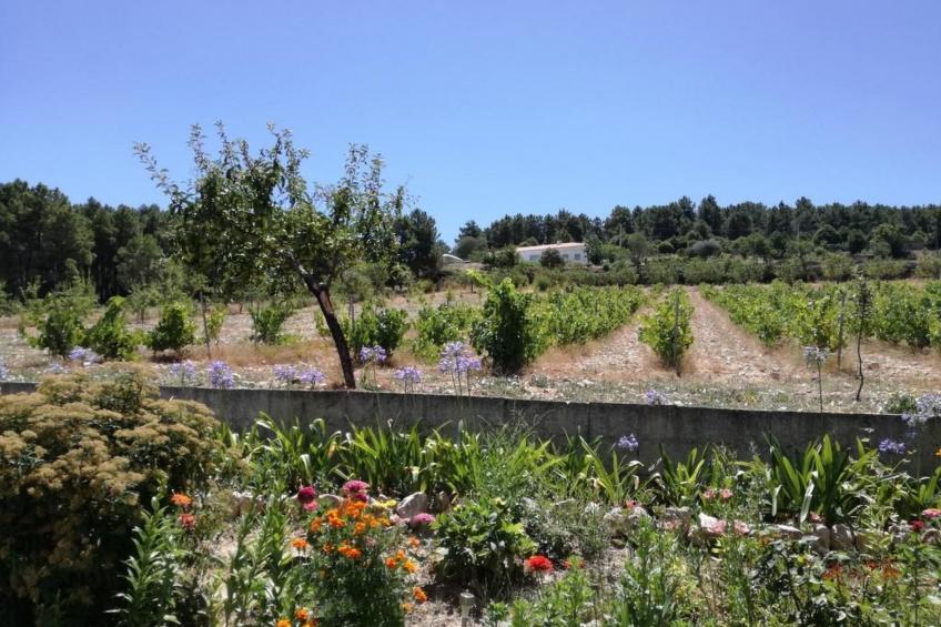 Träumende Aussichten im Douro - foto 46