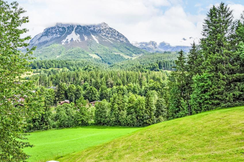 Studio Esche 2 - foto 43