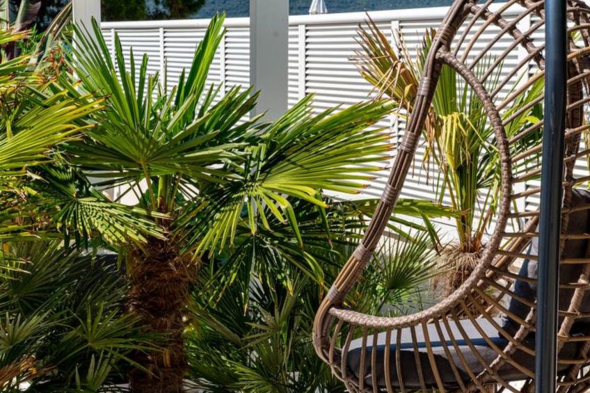 Suartini Viganj mit einem Pool - foto 7