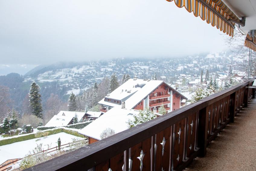 Ambassadeur 1 - foto 27