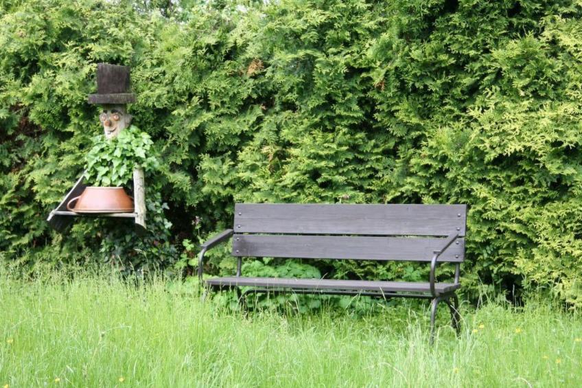 in Maxen mit Privatem Pool - foto 18