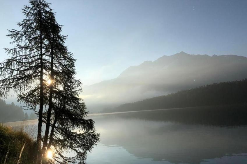 Chesa Andrea, EG - foto 36