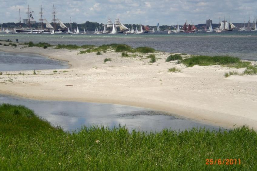 218342 - foto 14