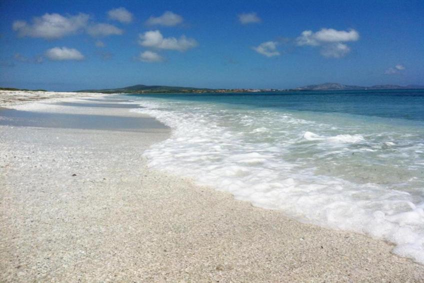 Villa la Fata - foto 39