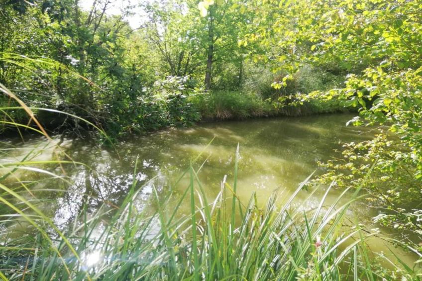 Maison Lamothe - foto 30