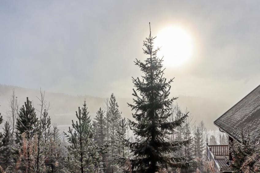 Mukalilla, paritalo sis loppusiivouksen - foto 11