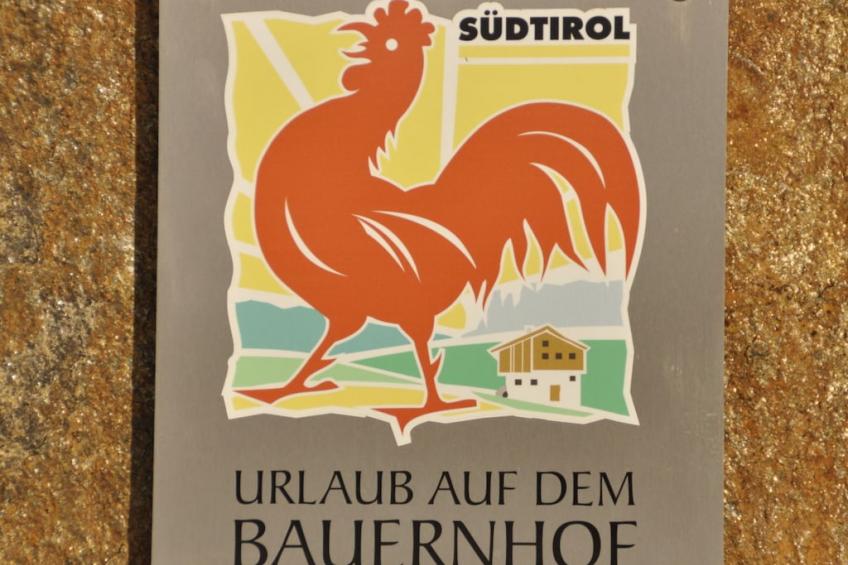 19952 - foto 39