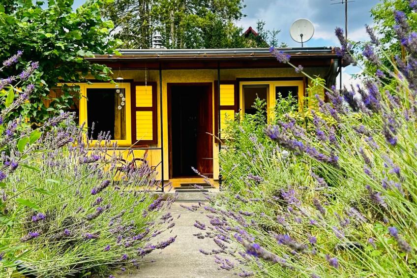 Datscha im Grünen - foto 2