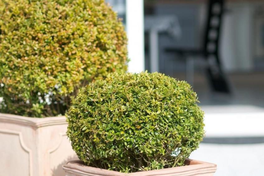 mit Blick auf das Wasser - foto 11