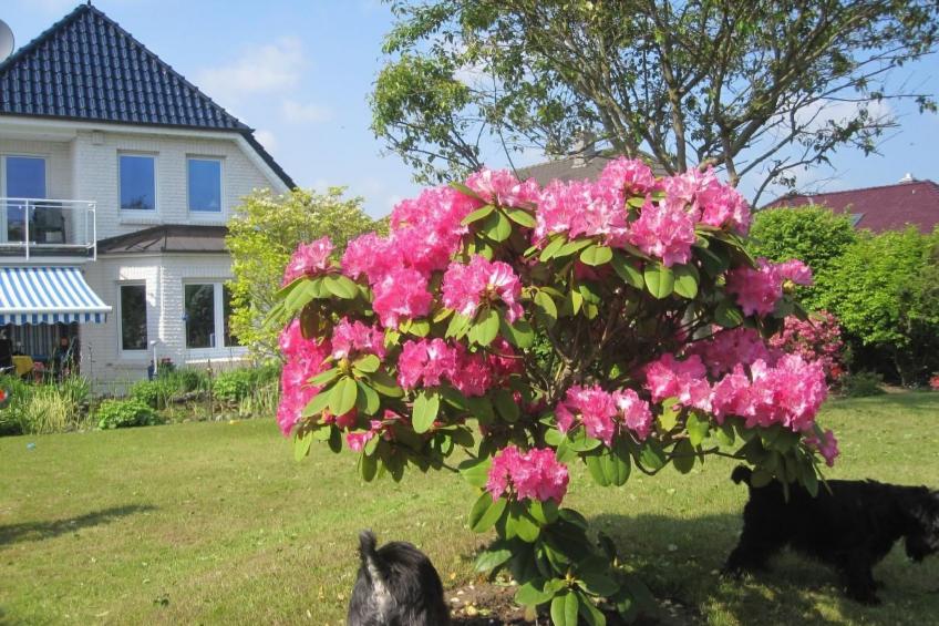 Landhaus am See - foto 25