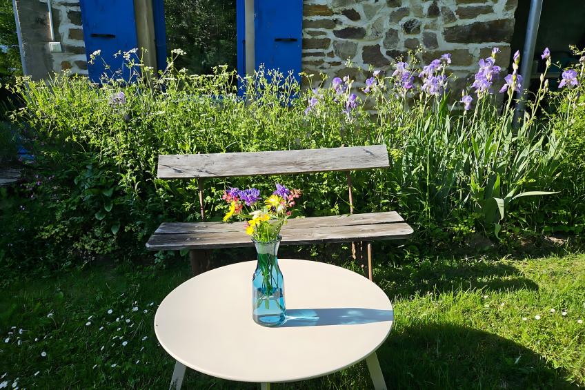 Maison de vacances - Le Chat Blanc - kleine gite - foto 14