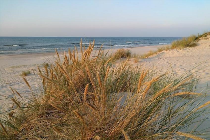 Dom wakacyjny z Klimatem Smołdziński Las - foto 28
