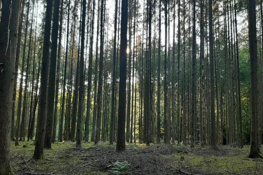 Wanaka Lodge – 6pers - foto 25