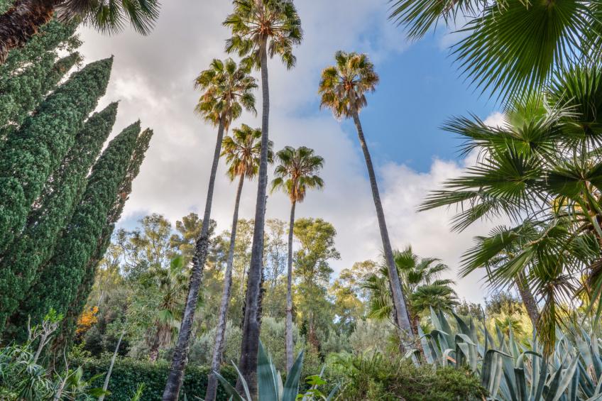 Capo d'Arco - foto 28