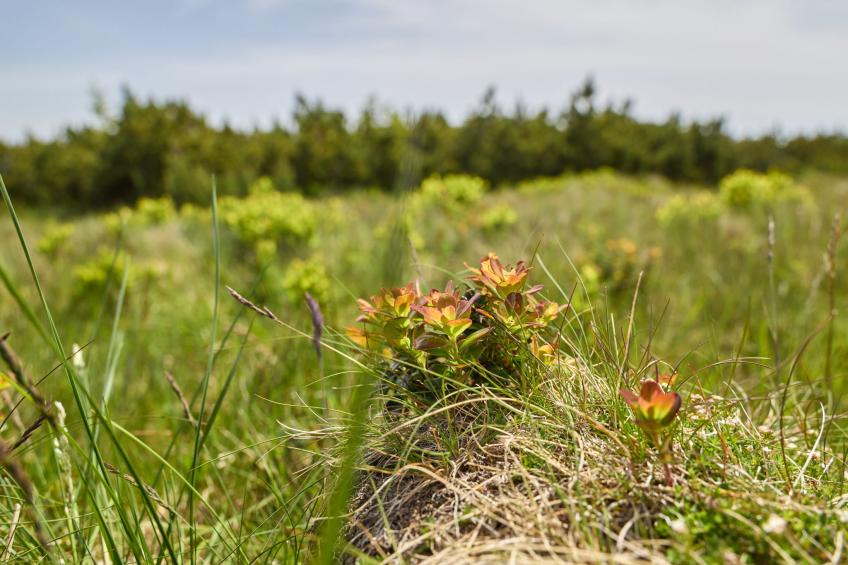 Horní Mísečky - foto 45