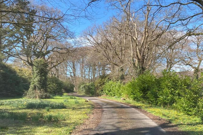 Brodawel - The Cottage - foto 35