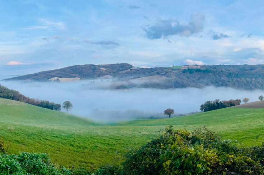 Monte Pino - foto 23