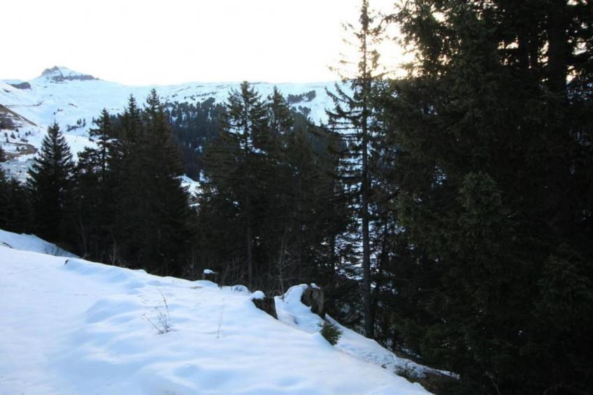 Les Portes du Grand Massif 9 - foto 38