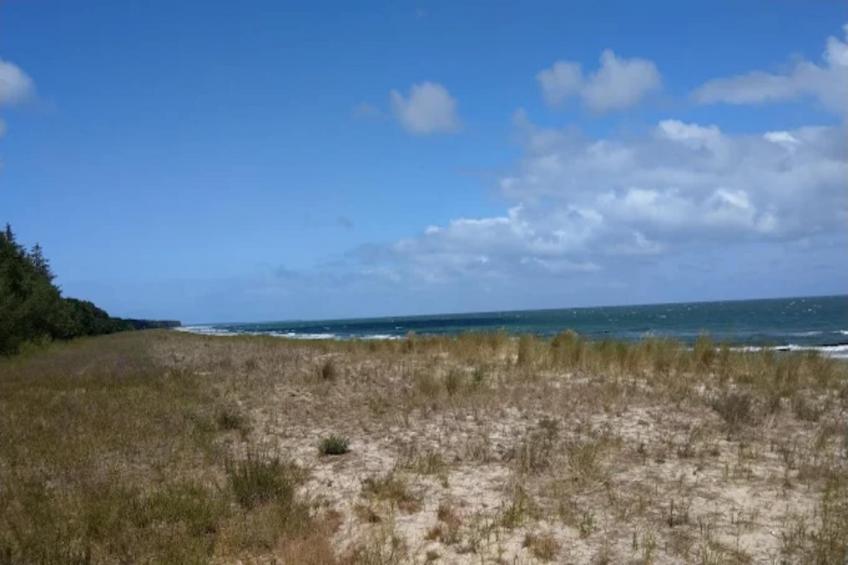 Holiday homes, Fuhlendorf - foto 22