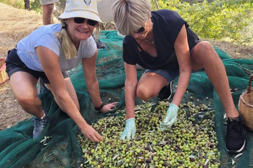Geräumige Artemide-Wohnung mit Terrasse - foto 41