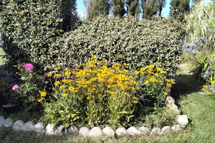 Bretonisches Ferienhaus in Meeresnähe mit Garten - foto 36