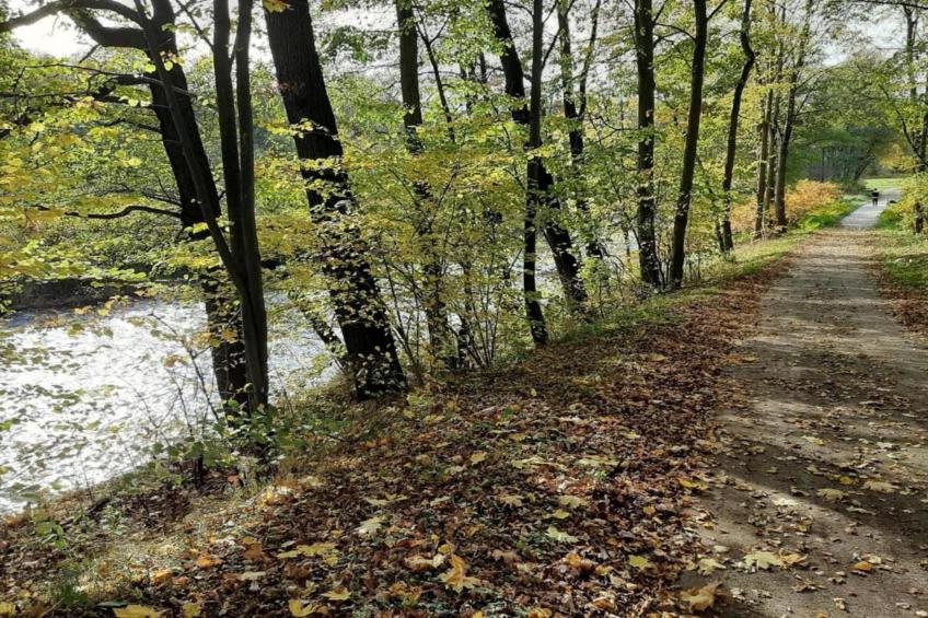 Im Erzgebirge - foto 29