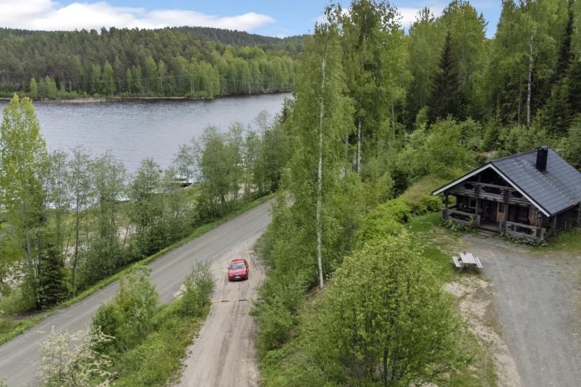 Heinäsorsa - foto 63