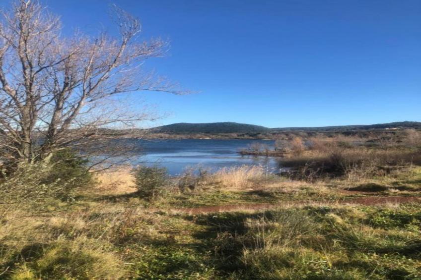 Le petit Nichoir - foto 31