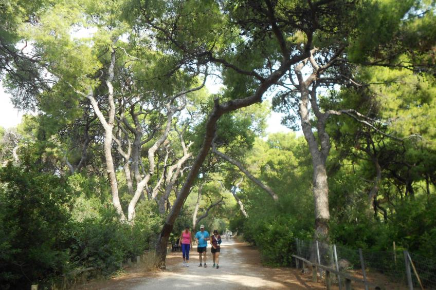 mit Whirlpool - foto 15