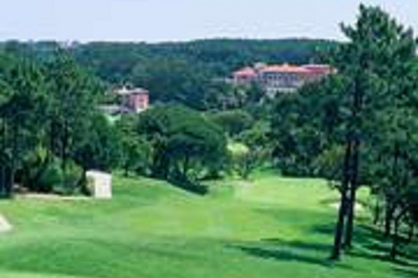 Haus in Colares mit privatem Pool - foto 41