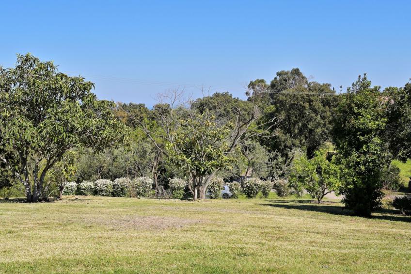 Weingut Punta della Guardia Ruhig und beschaulich - foto 20