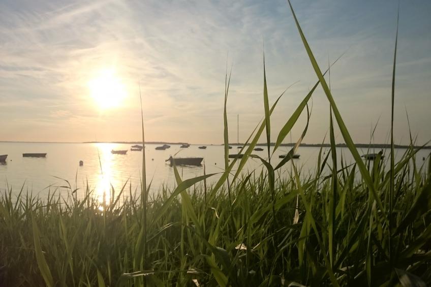 Sommerresidenz - foto 29