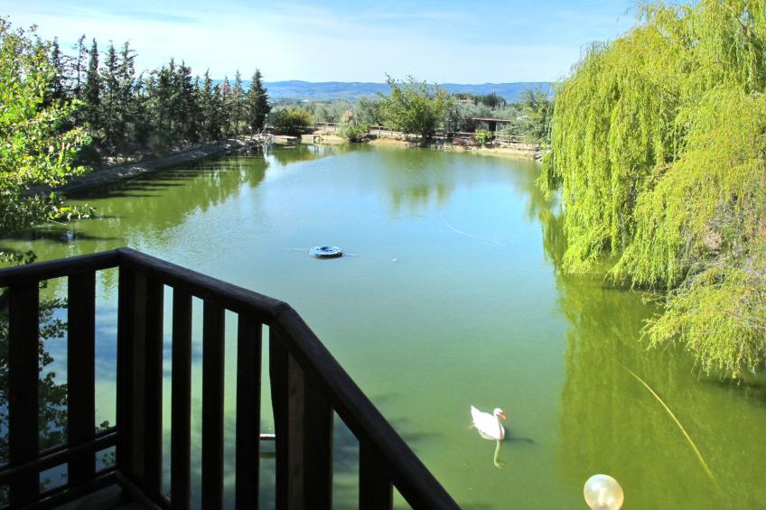 Azienda Agricola Cameli (CET120) - foto 20