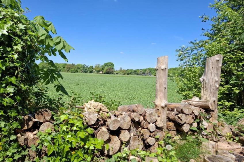 De Kibbelhoeve - foto 23