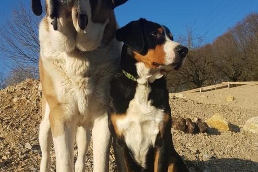 Chalet Staufenhof - foto 20