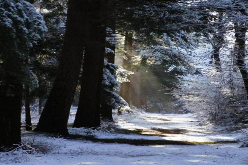 't Landgoed Baars 1 - foto 33