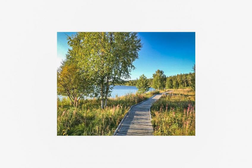 Örtsylä b - foto 21