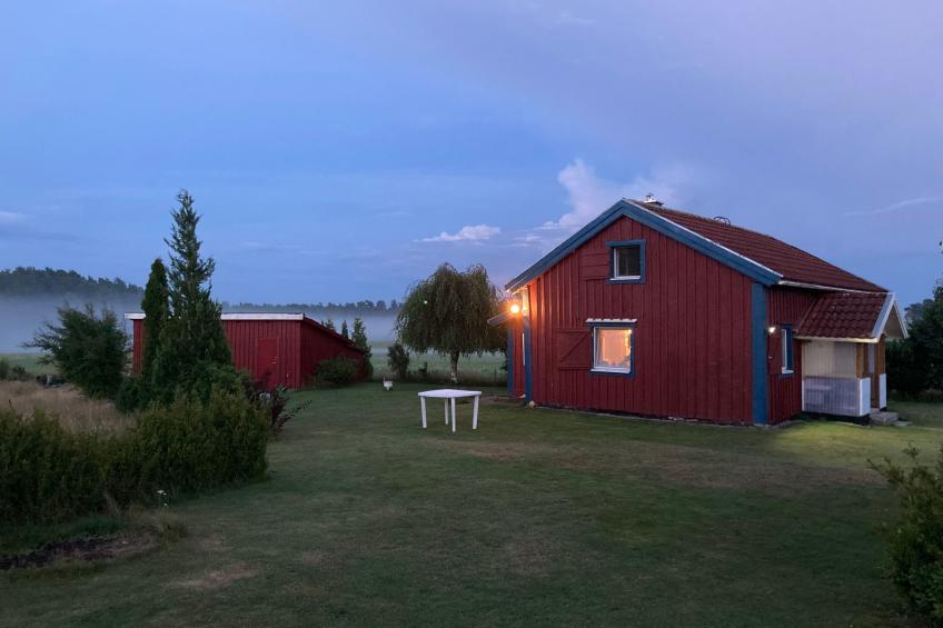 Blombacker - foto 41