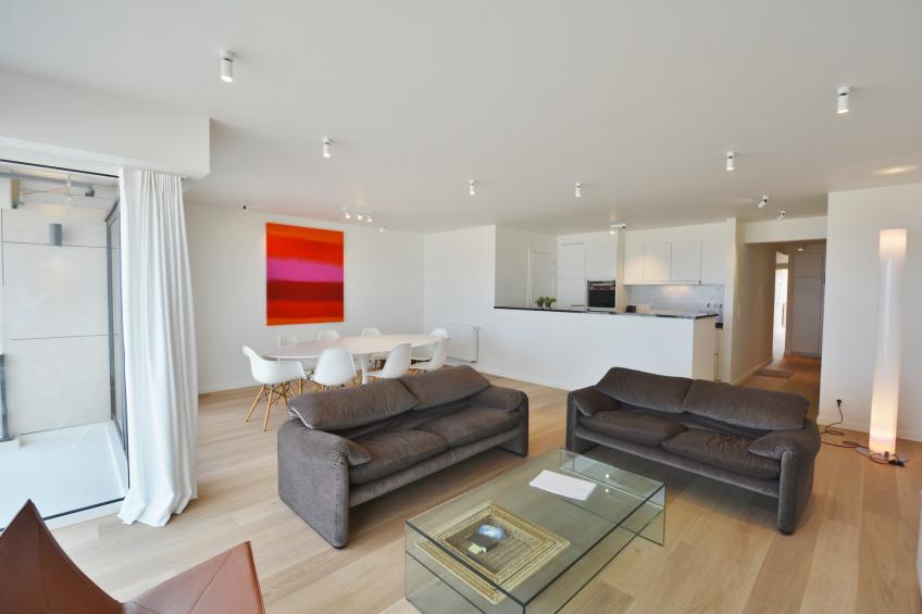 Manderley 41 - foto 5