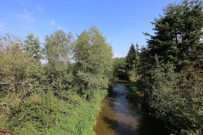 C'est mon daim - foto 24