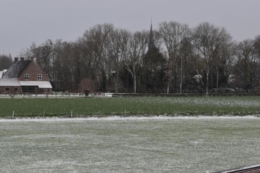 Hommelhove - foto 43