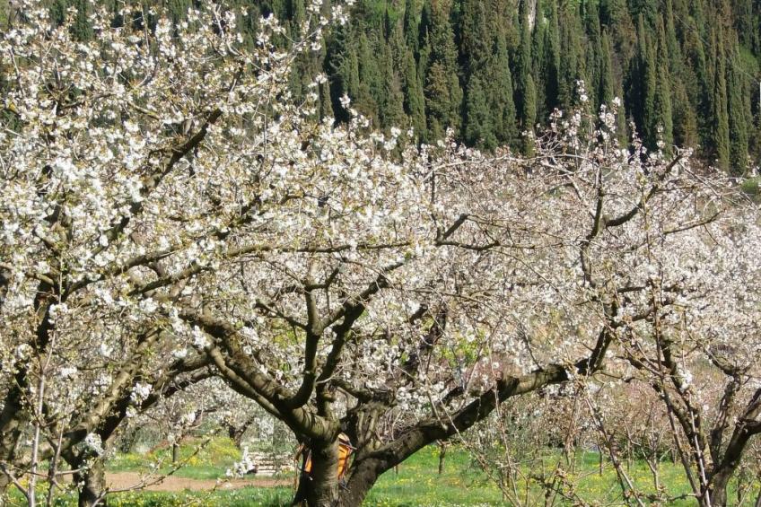 Anwesen mit Garten, Grill und Terrasse - foto 24