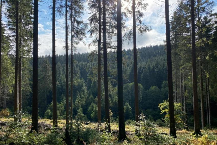 Bergresort Winterberg - foto 29