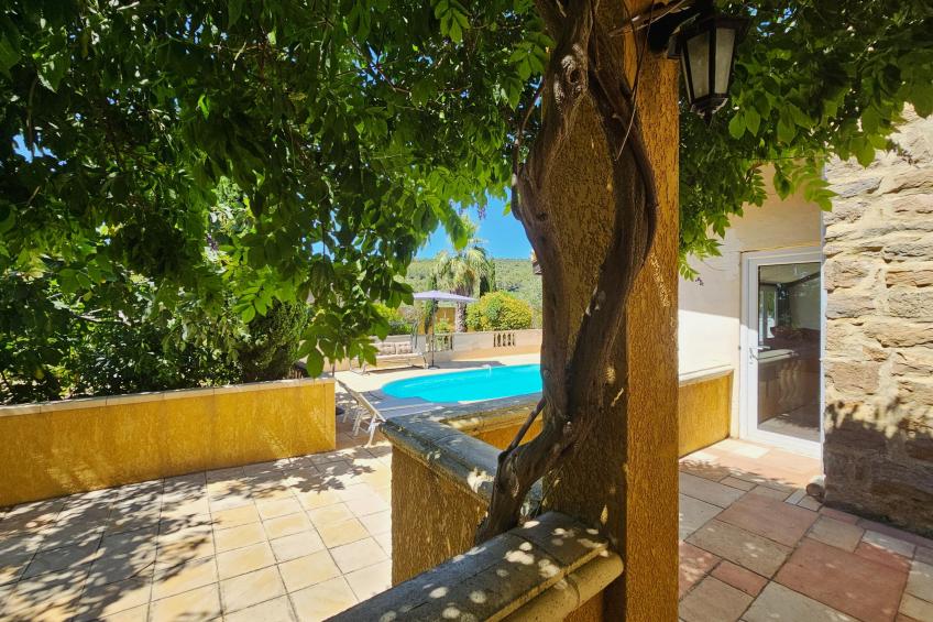 Belle Bize - foto 29