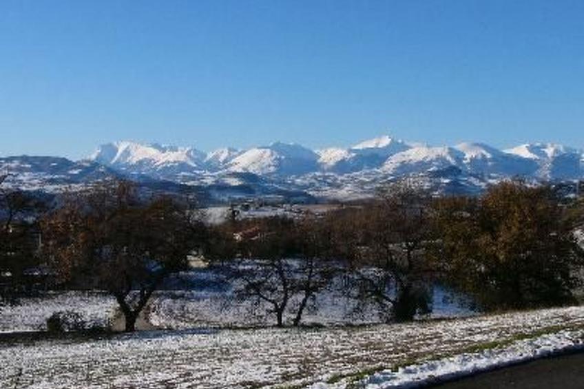 Grünes Appartement - foto 9