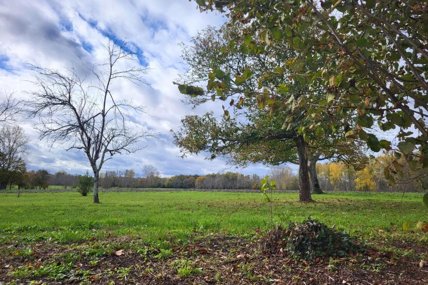 Maison des Prairies - foto 24