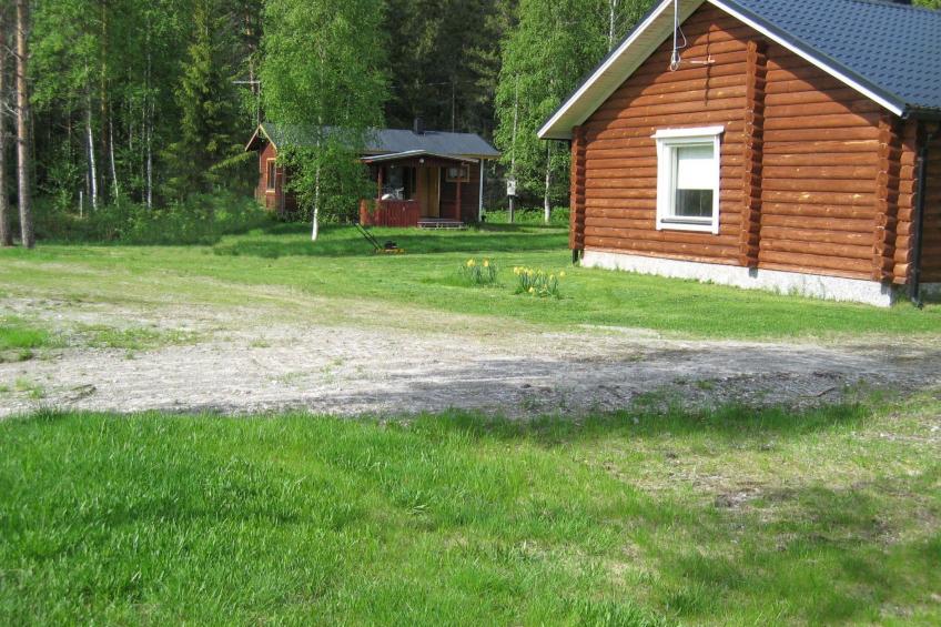 Koli, metsälä - foto 23