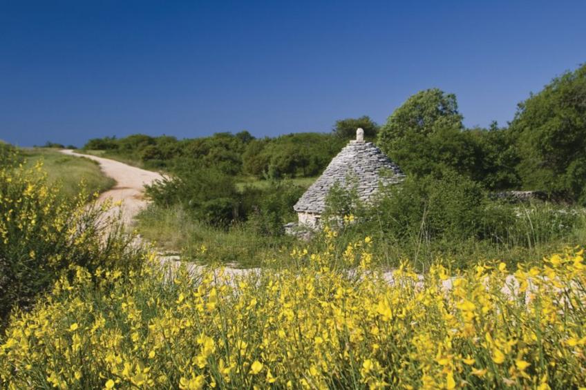 Villa Istra - Four Bedroom Villa with Private Pool - foto 32